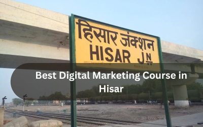 Best Digital Marketing Institute in Hisar for Beginners
