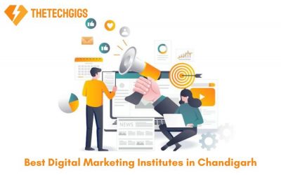 8 Top Digital Marketing Institutes In Chandigarh