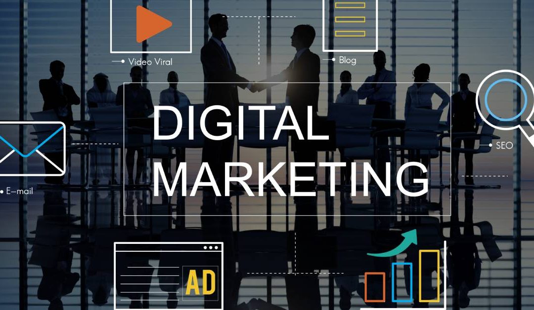 Best White Label Digital Marketing Agencies You Should Consider For Your Business in 2024
